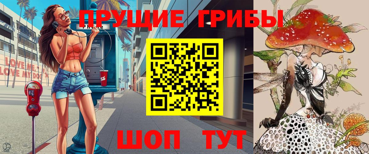 Псилоцибиновые грибы Psilocybe  Вход с VPN  закладки  Новокуйбышевск 